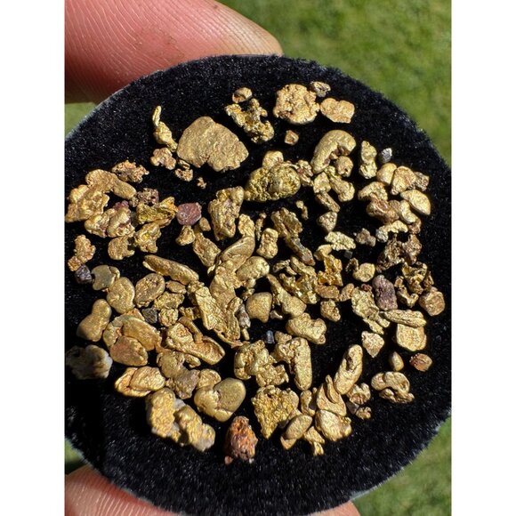 Gold Nuggets from California - 4.36 grams - Picture 6 of 6